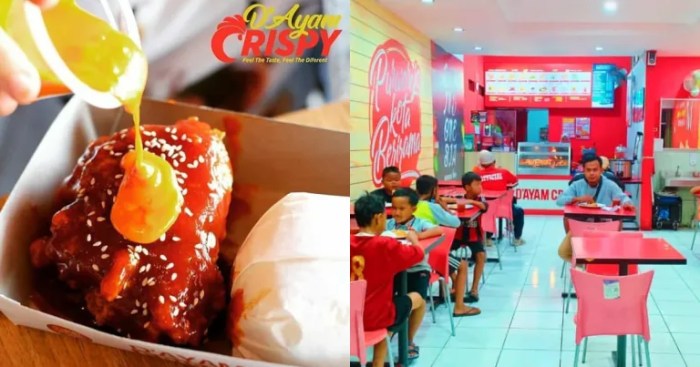 Ayam Saus Internasional