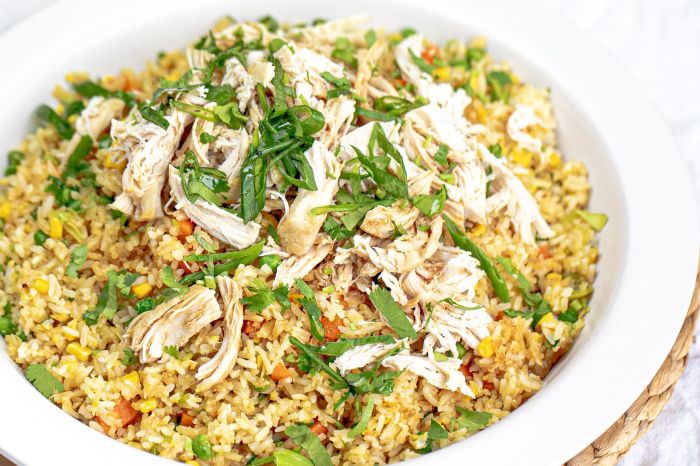 Garlic chicken fried rice recipe | Recipe Cart